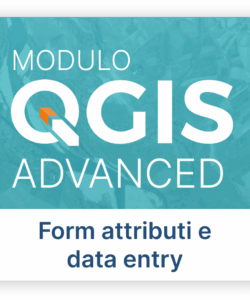 Modulo Advanced Form attributi e data entry